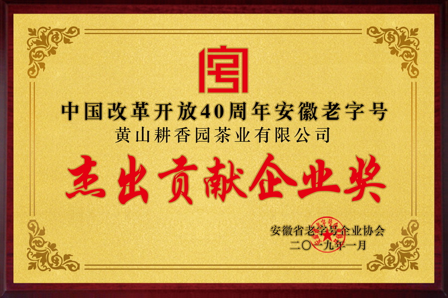 杰出贡献企业奖
